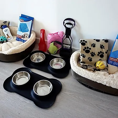 Szálloda Boutique Minister 4sup 4*